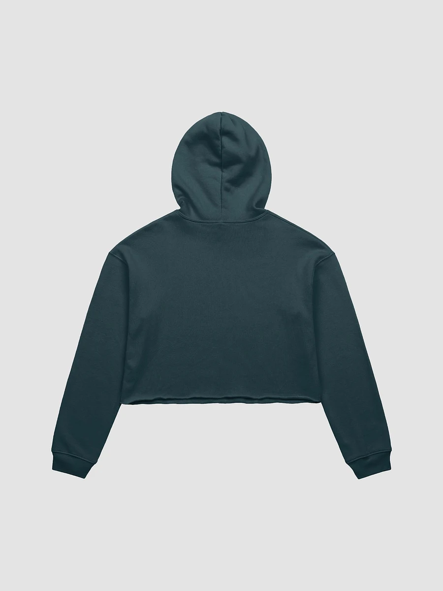 Vaporcoelacanth fleece crop hoodie product image (3)