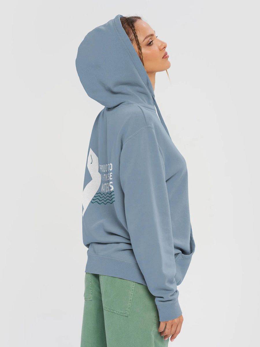 Proud To Fish These Waters Hoodie product image (20)