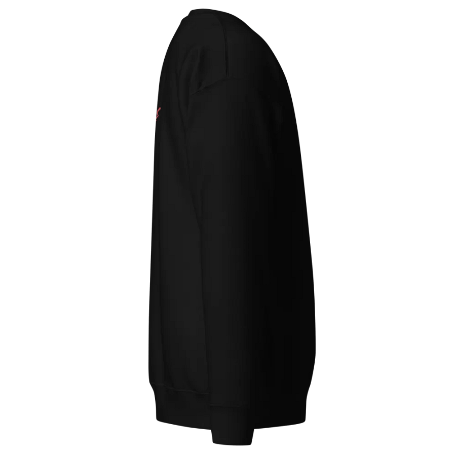 Nova Inu Wiz Premium Sweatshirt product image (3)