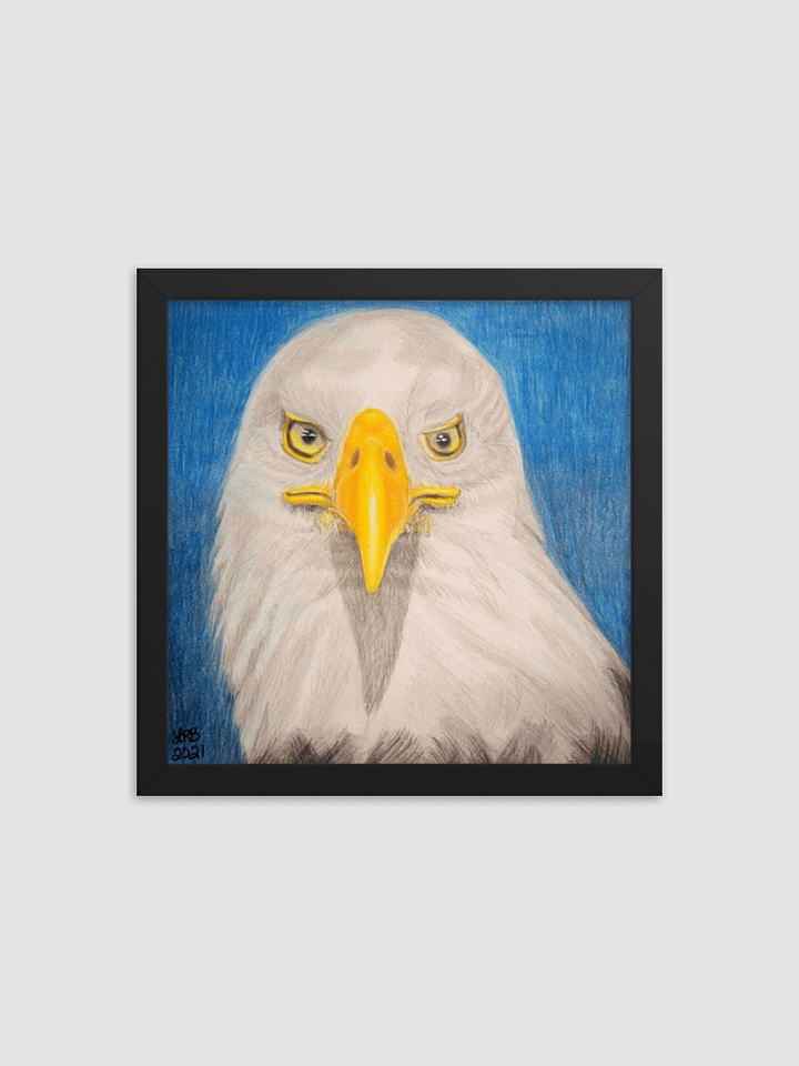 Bald Eagle Framed Print product image (1)