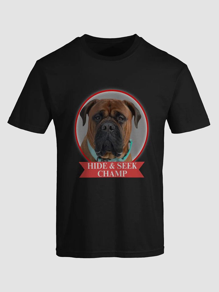 Hide & Seek Champ Tee product image (1)