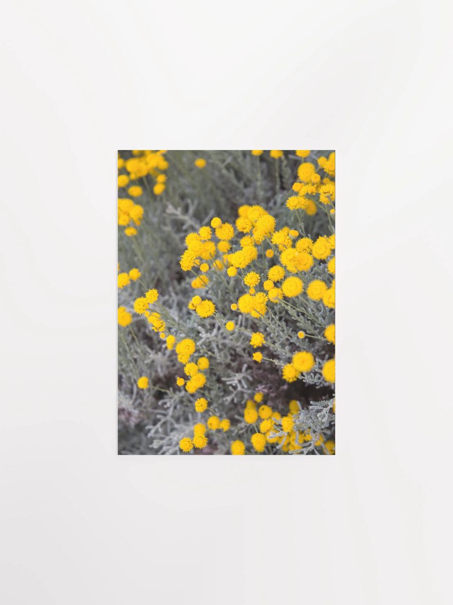 Flores amarillas - Enhanced Matte Paper Poster product image (1)