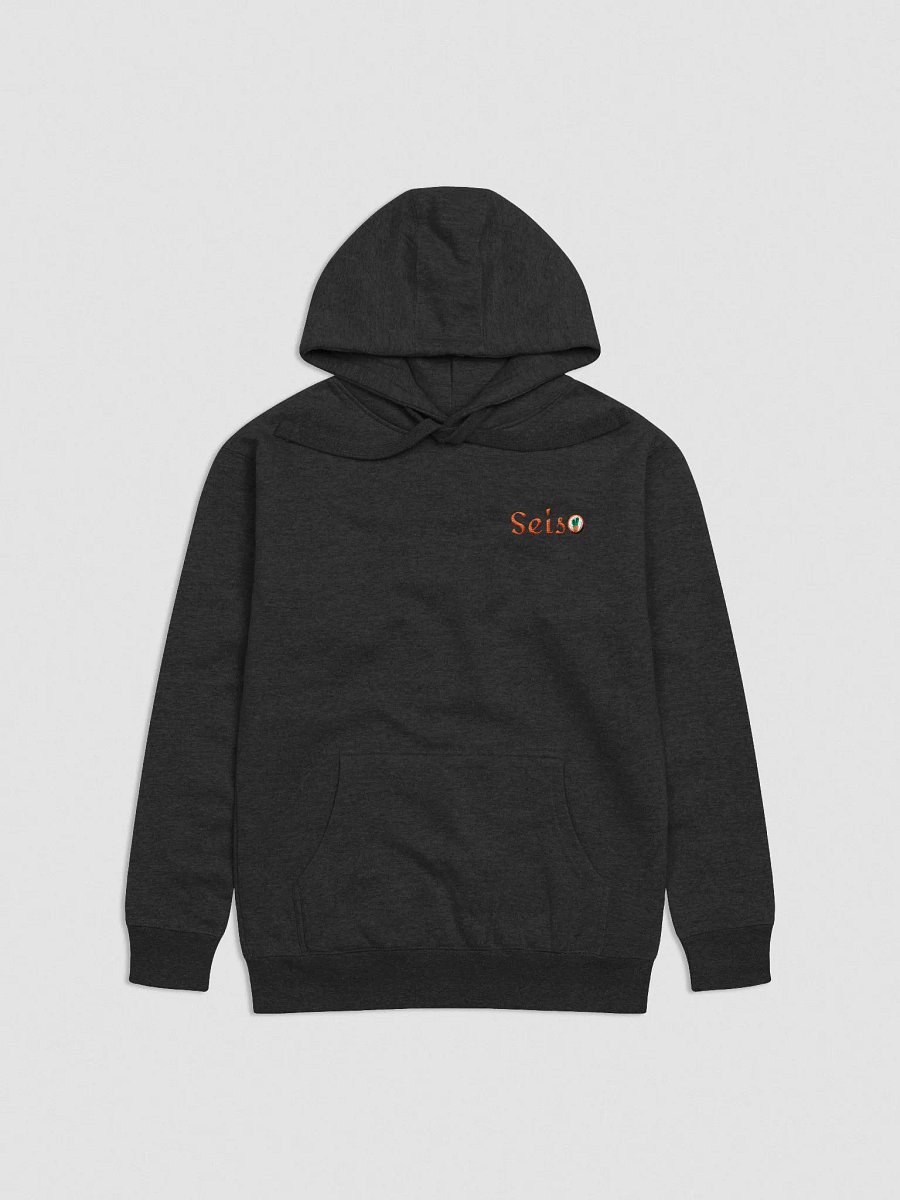 Seiso Hoodie - Embroidered product image (2)