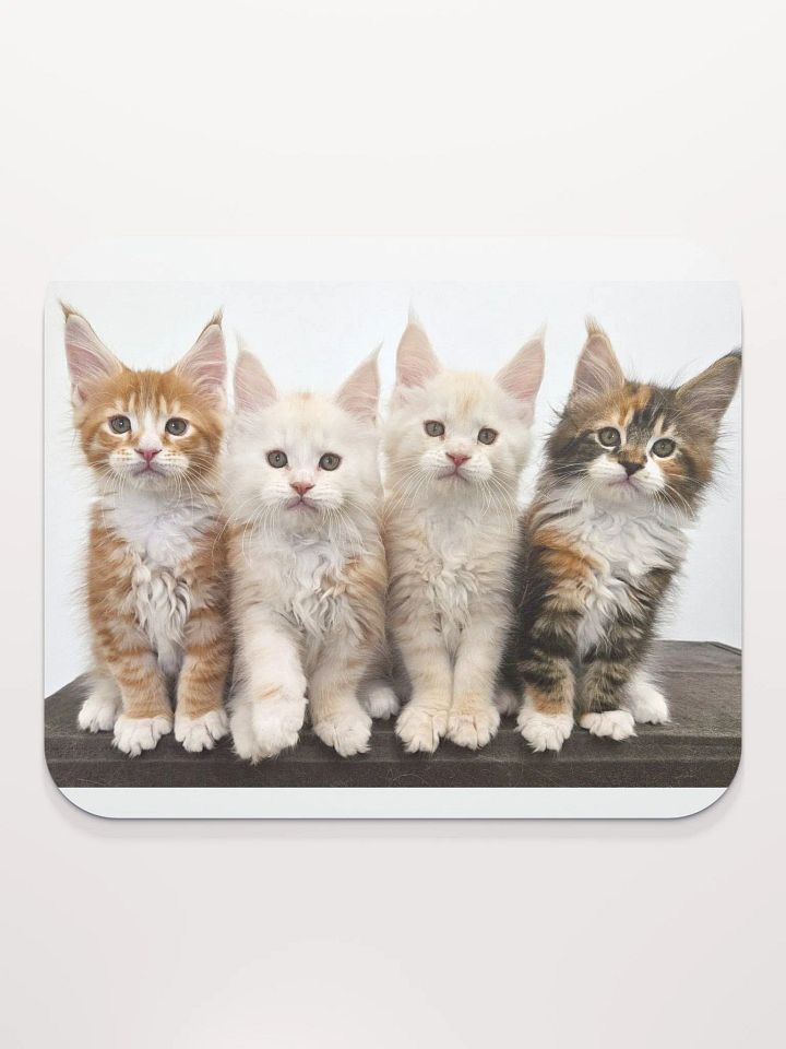 Ada's Kittens - Mouse Pad product image (1)
