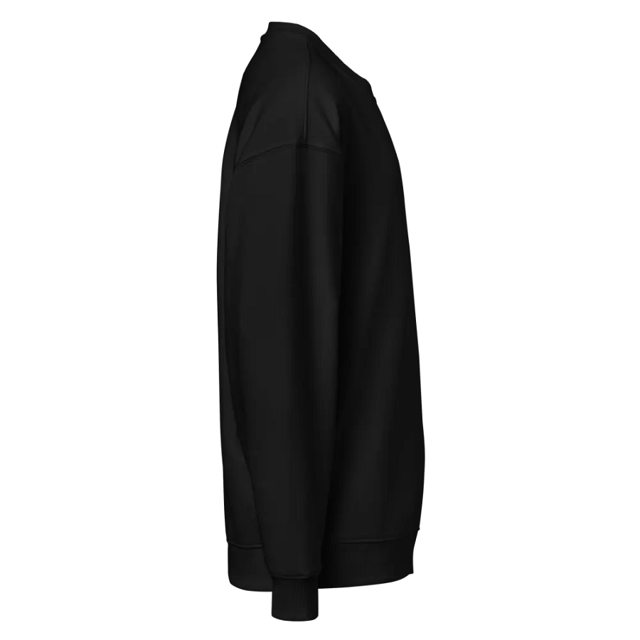 CS Oversized Sweatshirt product image (5)