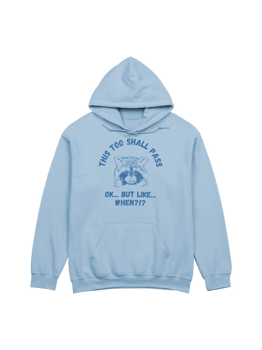 This Too Shall Pass Hoodie product image (1)