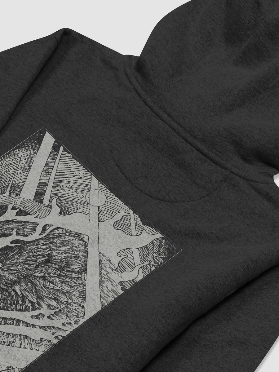 Eagle Hoodie (Black) product image (4)