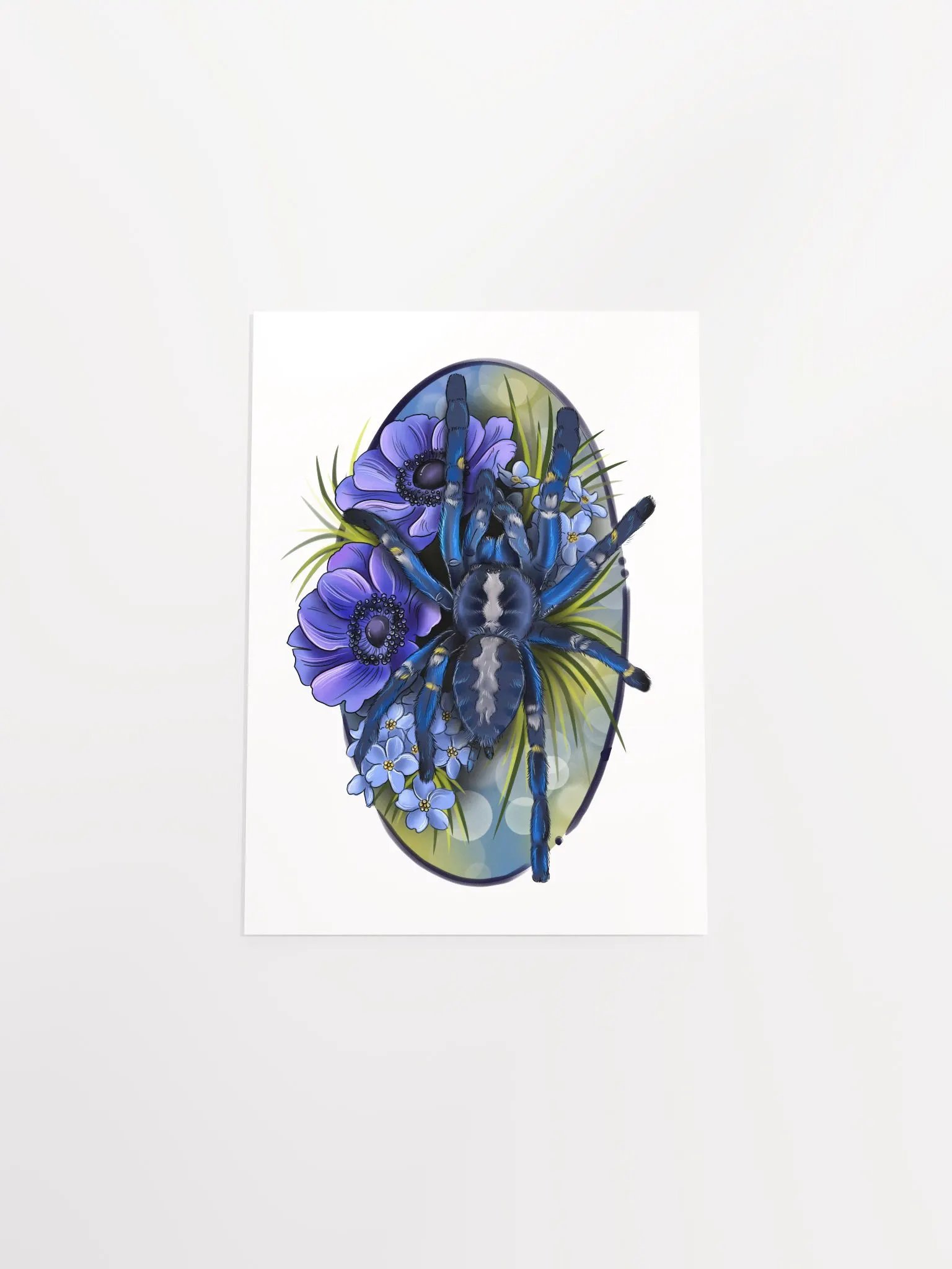 Poecilotheria metallica product image (11)