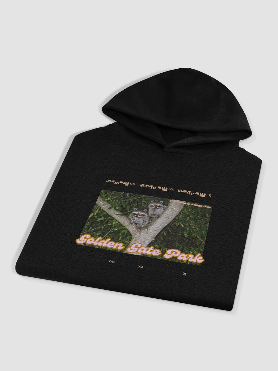 Golden Gate Park Raccoon Oversized Hoodie product image (4)