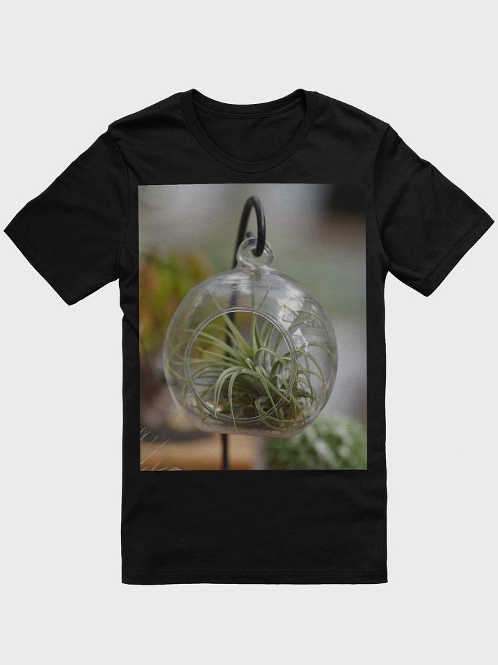 Suspended Air Plant Terrarium product image (1)
