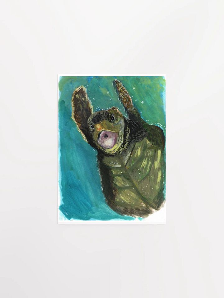 Turtle Print product image (2)