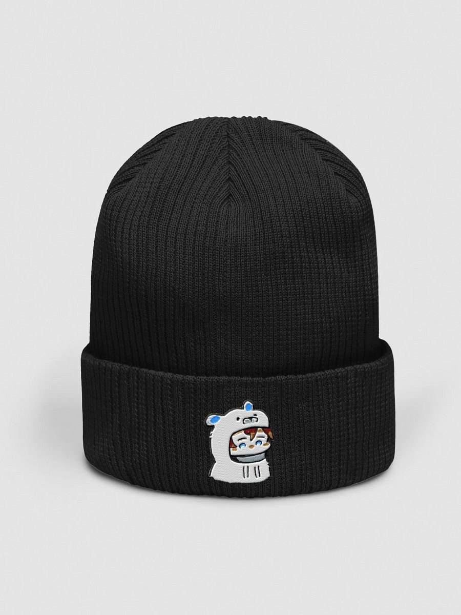 Freshi Logo Beanie product image (1)