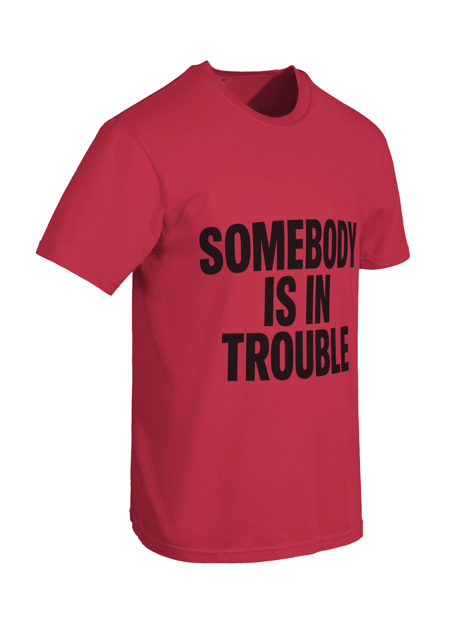 Trouble Finder Tee product image (87)