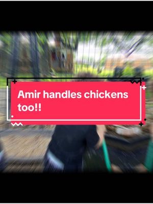 #chicken #farm #doforself 