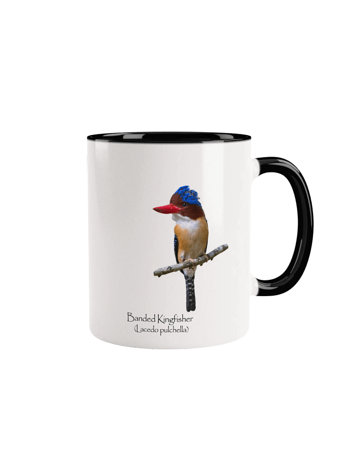 Banded Kingfisher mug product image (1)