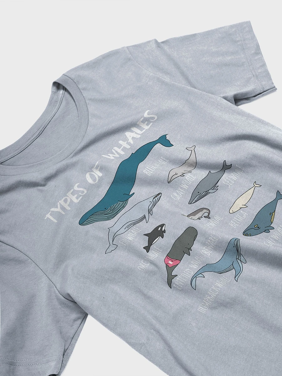 Types of Whales - Light Blue T-Shirt product image (3)