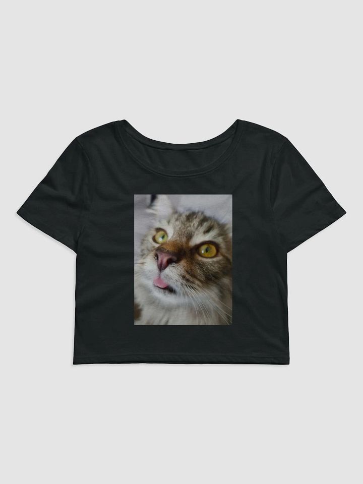 FidgGOON Womens Crop T product image (2)