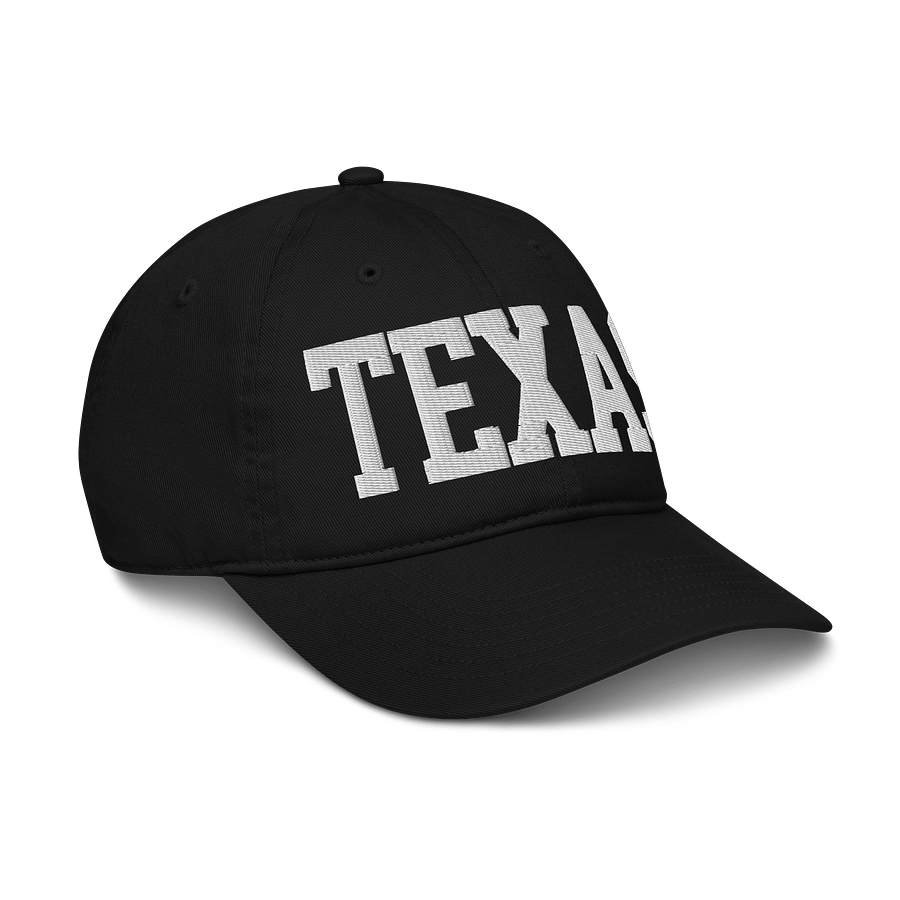 Texas State Organic Cotton Dad Hat product image (9)