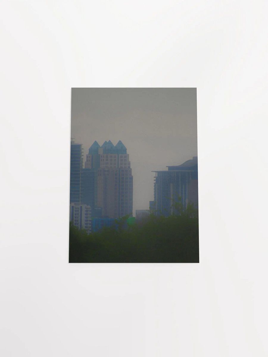 Downtown Orlando 6 product image (45)