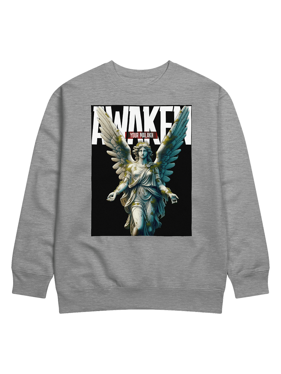 Awaken Your Malakh Premium Sweatshirt product image (1)