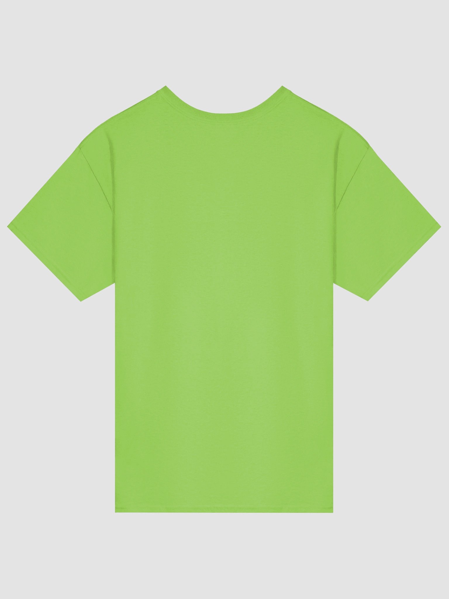Fruitful Vegan Vibes T-Shirt product image (2)