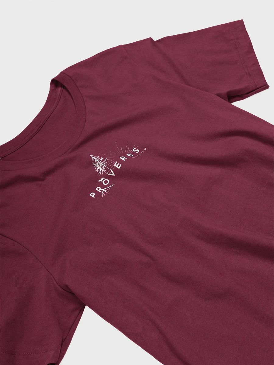 Proverbs Wisdom Printed Bella-Tee product image (10)