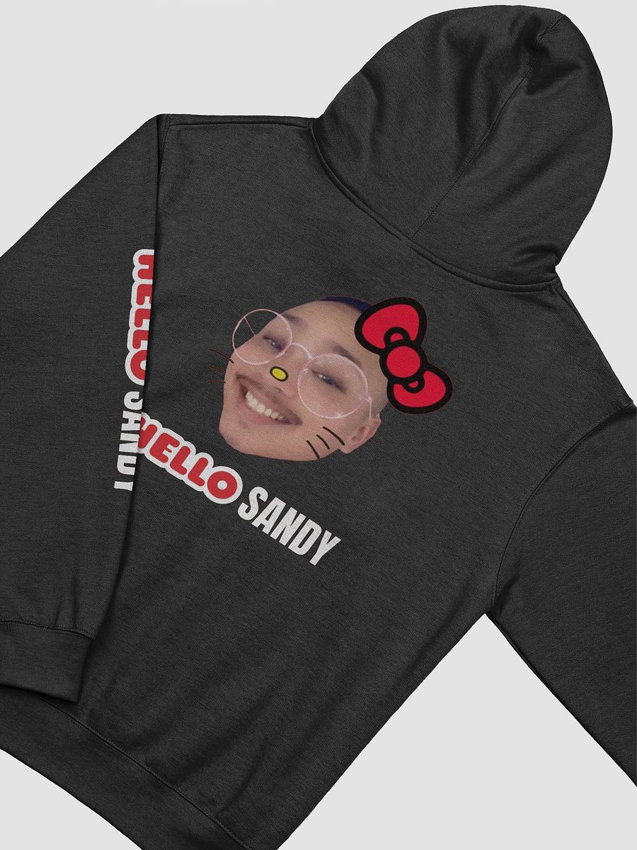 Hello Sandy Hoodie product image (4)