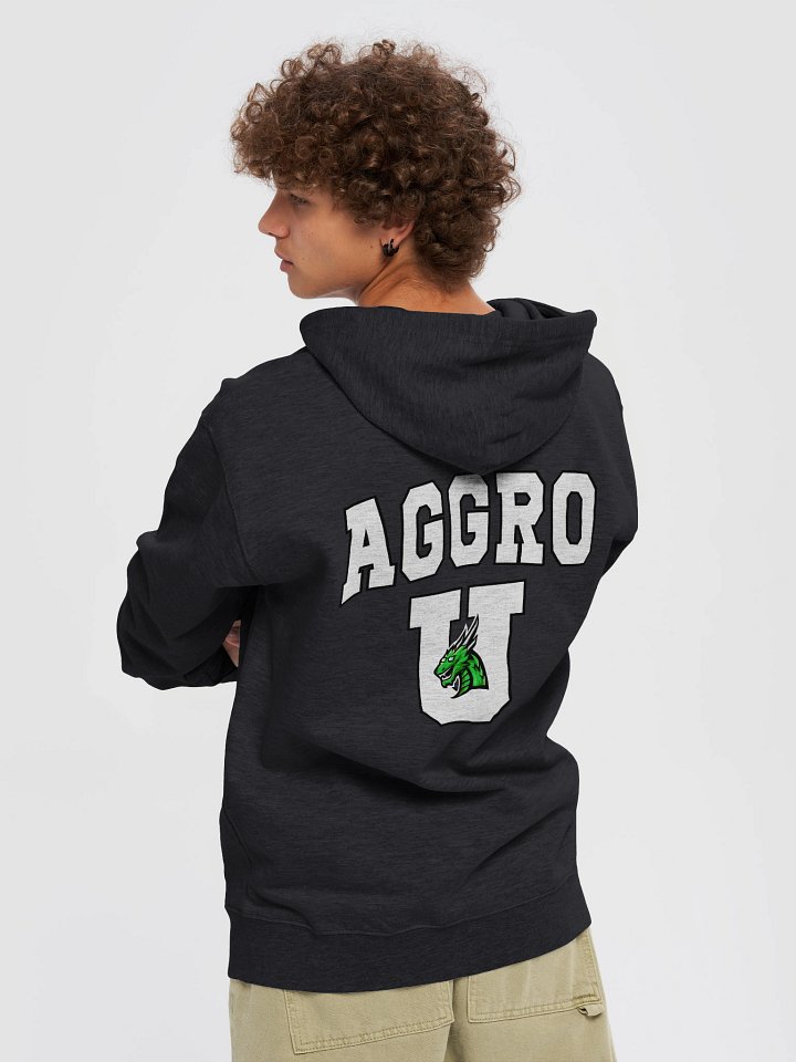 Aggro U Hoodie product image (1)