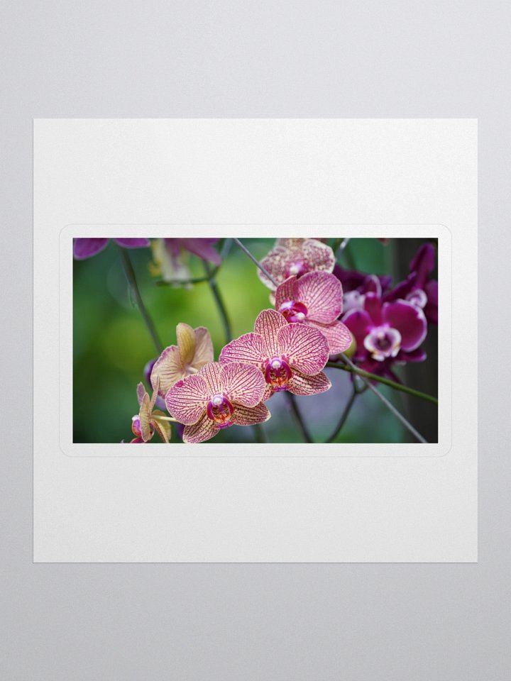 Orchid Dreams Kiss Cut Stickers product image (1)