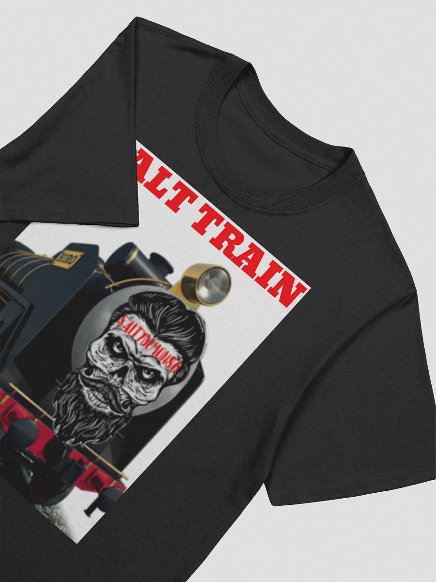 SALT TRAIN product image (3)