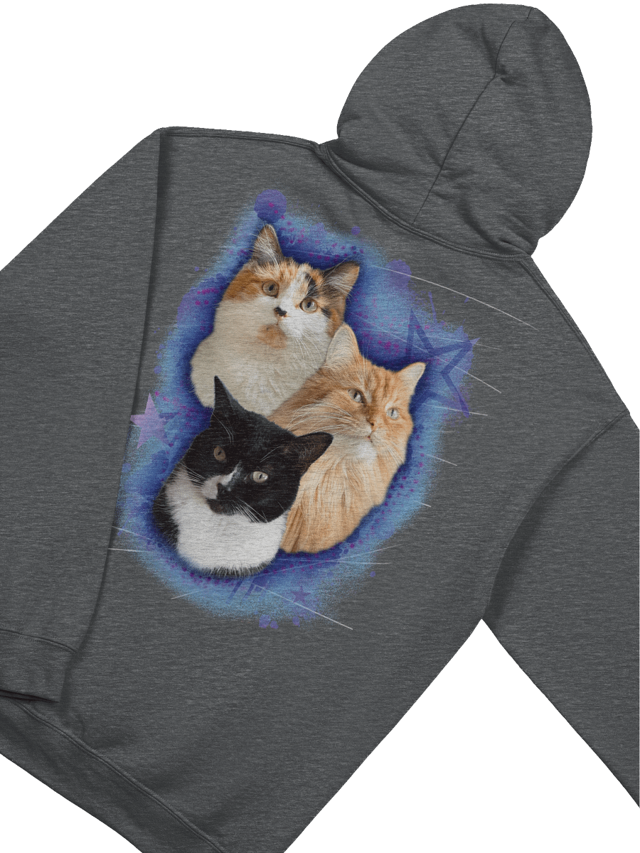 Fluffy Family Hoodie product image (4)