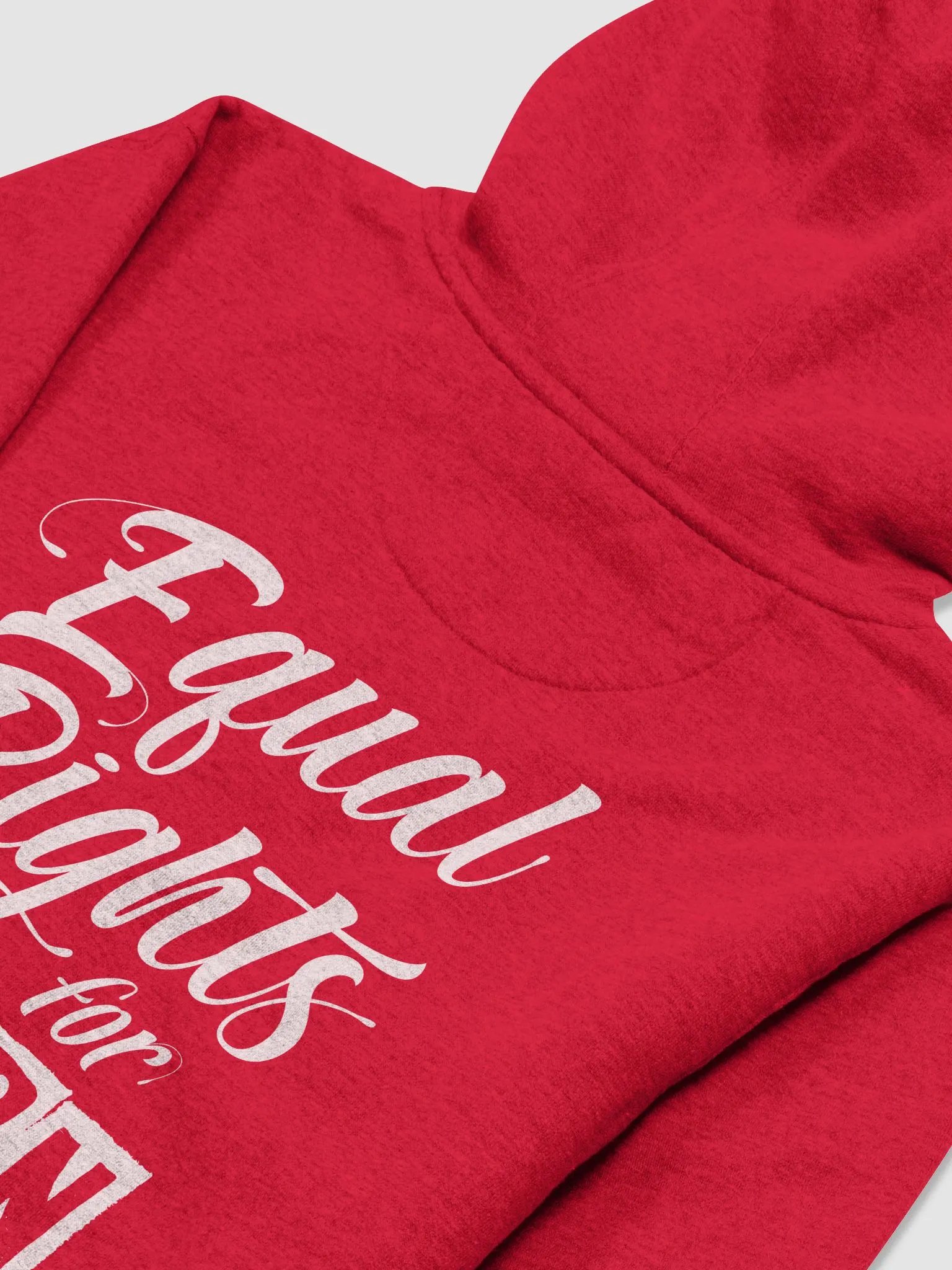 Pro-Life Equal Rights for Unborn Women Deluxe Cotton Heritage Unisex Hoodie product image (25)