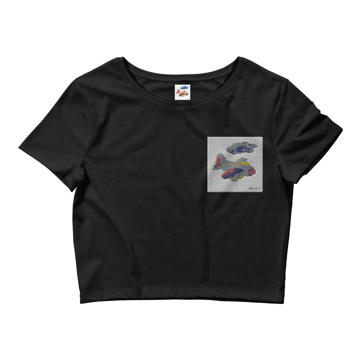 Kid Airplane (Bella+Canvas Women's Crop Tee) product image (2)