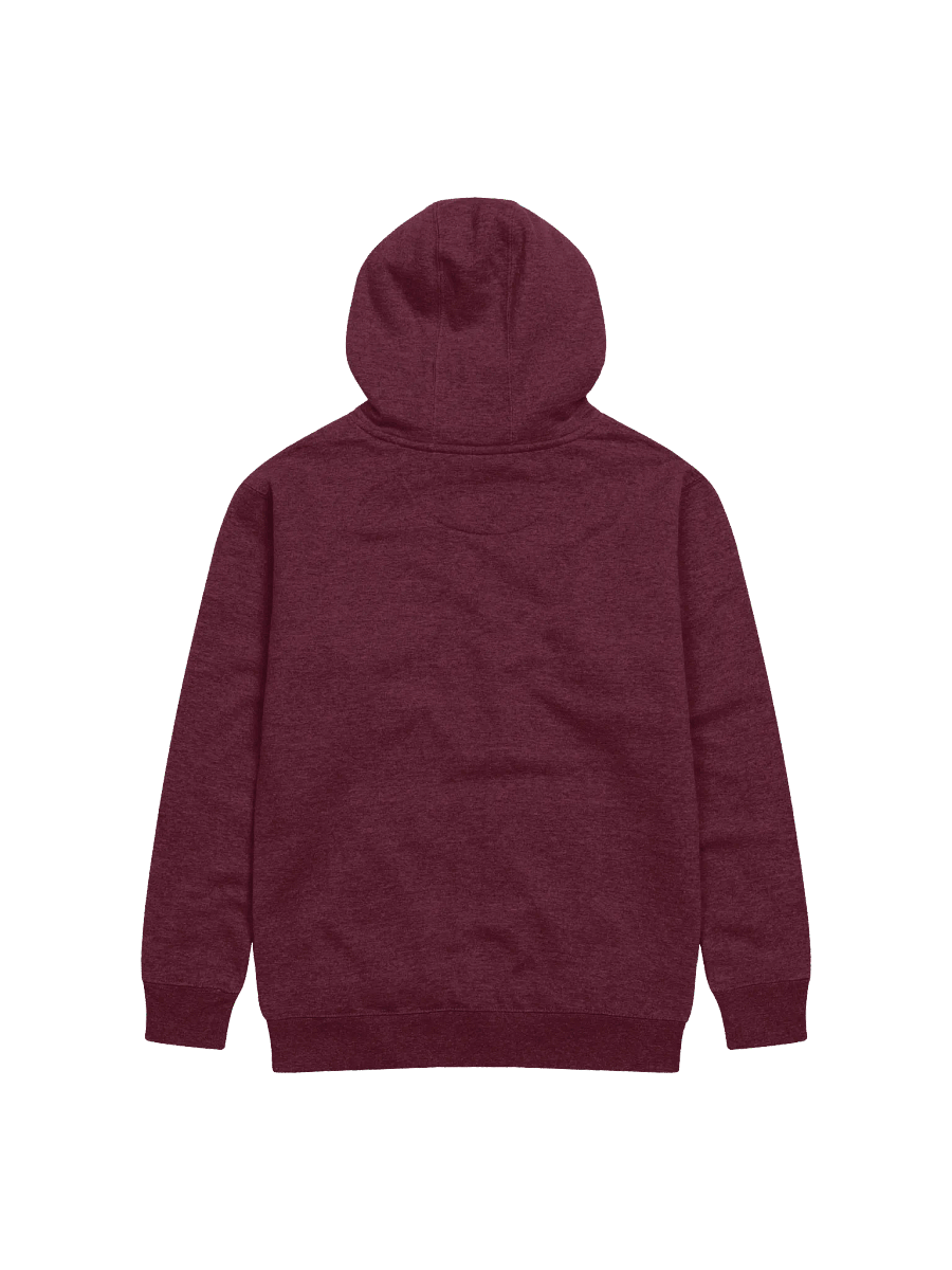 Stealth - Embroidered Hoodie product image (16)