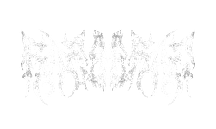 Raeberag's Merch Store