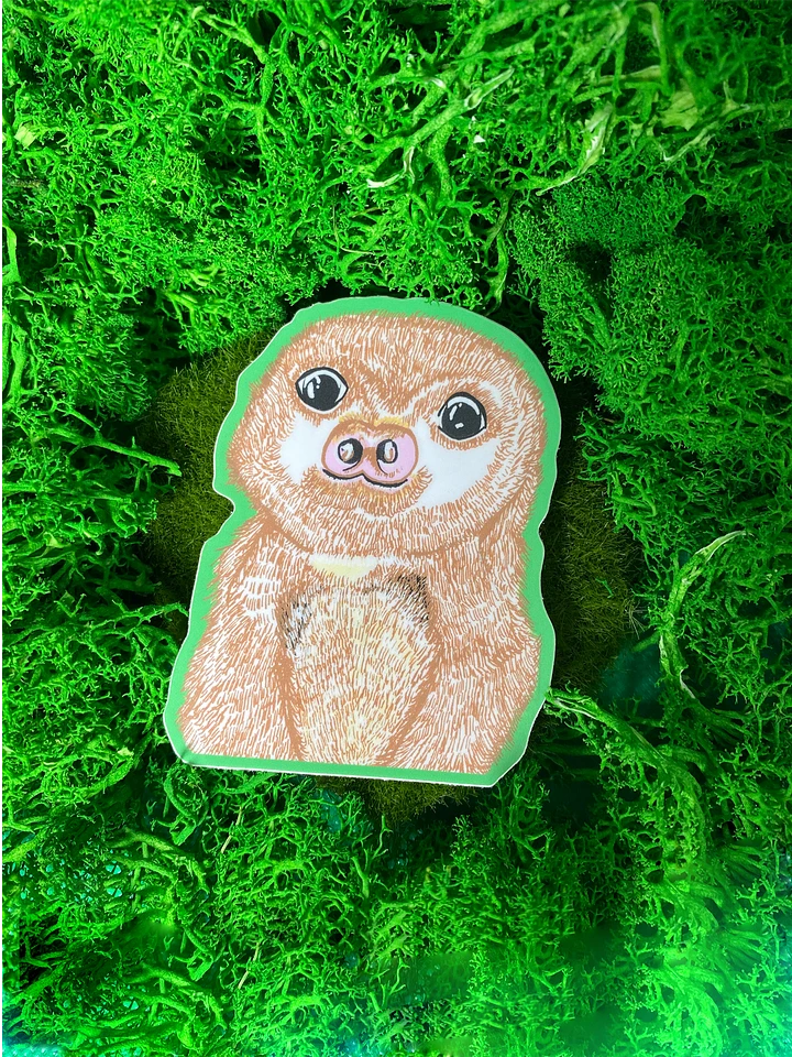 Sloth product image (1)
