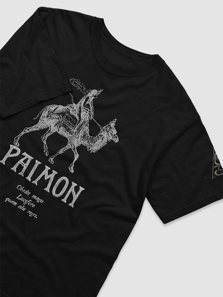 Paimon product image (3)