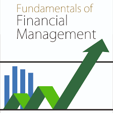 Summary Study notes on Finance concepts product image (1)