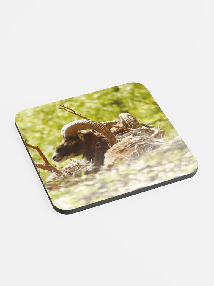The European mouflon - Glossed Cork Coaster product image (2)