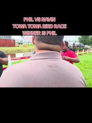 TOWA TOWA BIRD RACE AT LAMAHA BIRD GROUND WINNER IS PHIL #BIRD #viral_video #fyp #tiktoklive 