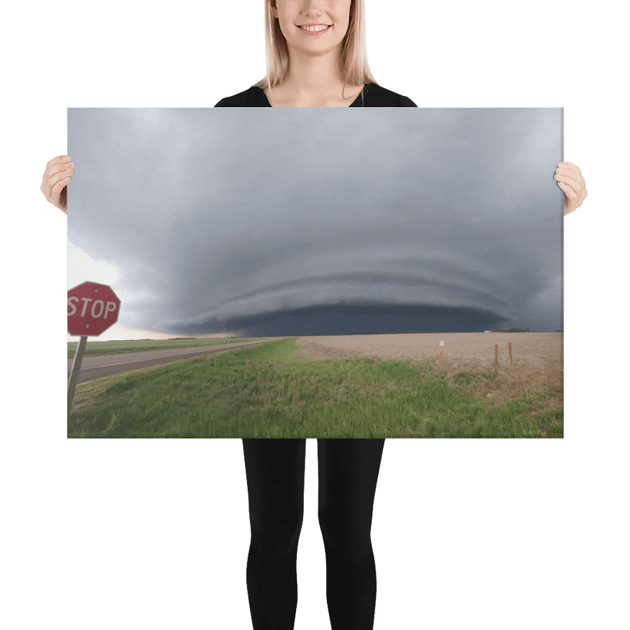 Go No Further Canvas product image (2)