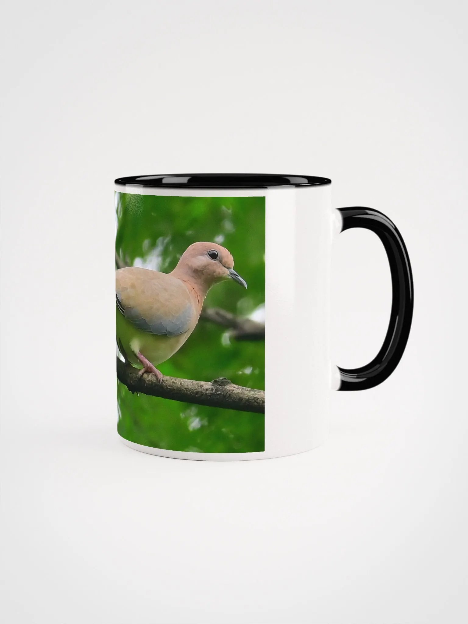 IUCAA Birds MUG product image (3)
