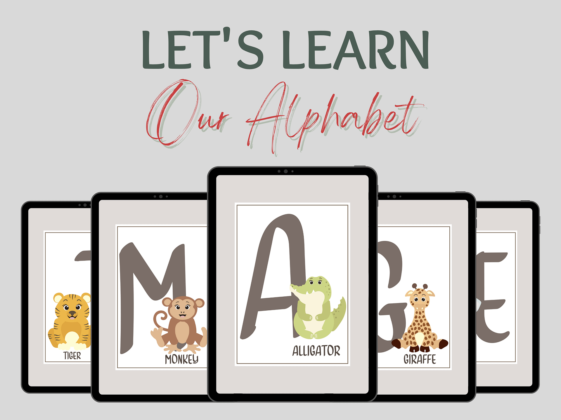 Digital Alphabet Flash Cards product image (2)