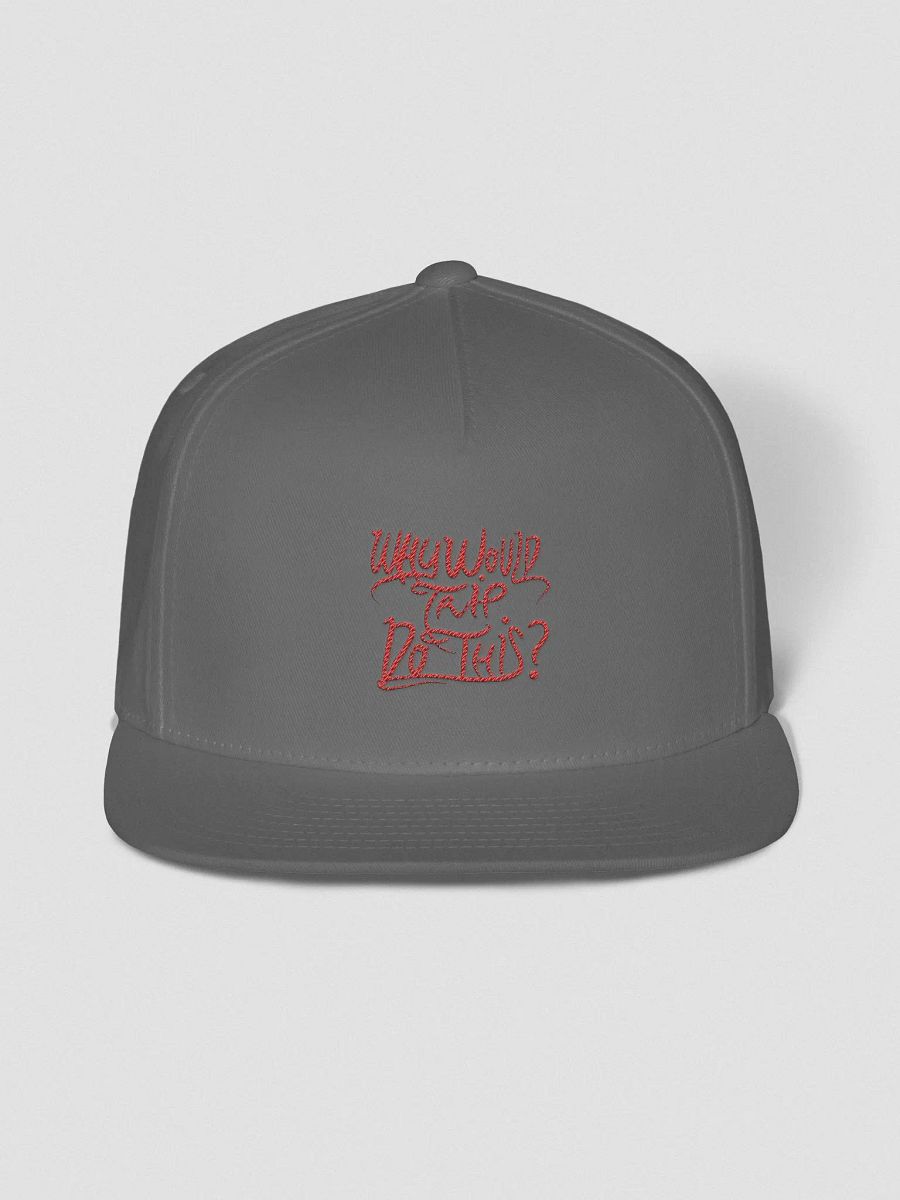 Why Would Trip Do This? - Hat product image (3)