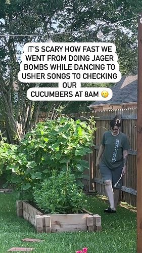 My cucumbers are growing! 
Everything is growing so fast out here in Portugal. I have planted Tomatoes,  peppers, melons, pum...
