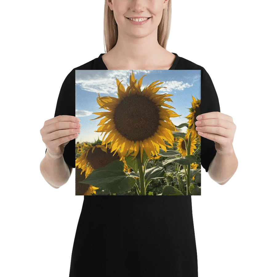Sunflowers product image (2)