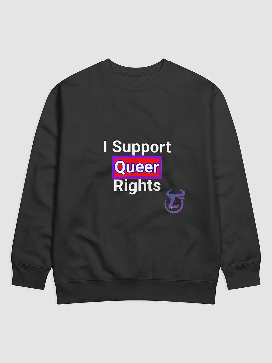 I Support Queer Rights Sweatshirt product image (2)