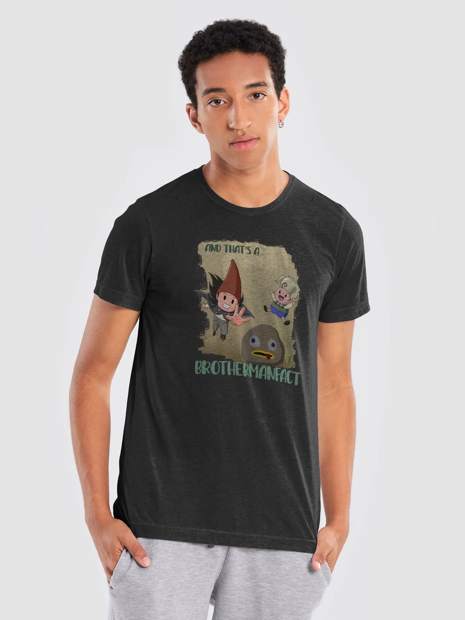 A BrotherFACT! (Triblend T-Shirt) product image (7)