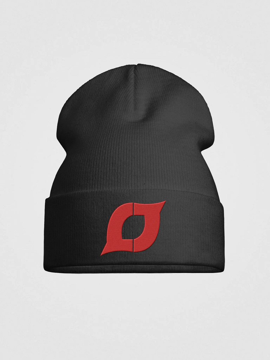 LJTV Beanie product image (1)