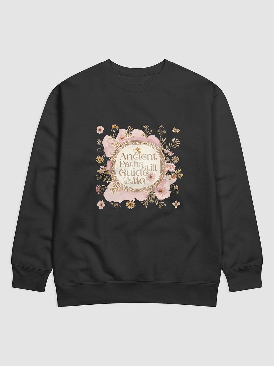Ancient Paths Premium Sweatshirt product image (1)
